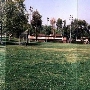 Tamarack Park