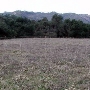 Topanga State Park (SP)