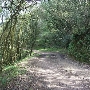 Tresch Dairy
