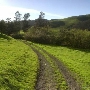 Tresch Dairy