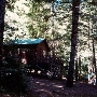 Westminster Woods