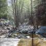 Angeles National Forest