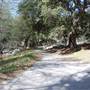 Angeles National Forest