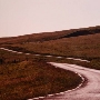 Bear River Ridge Road - Off HWY 101
