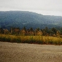 Bald Hills Road