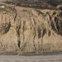Torrey Pines State Natural Reserve (SNR)