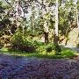 Fern Canyon Road