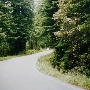 Freshwater Road