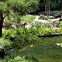 Earl Burns Miller Japanese Garden - California State University Long Beach - CSULB