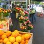 Auburn Farmers Market