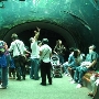 California Academy of Sciences