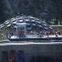 California Academy of Sciences