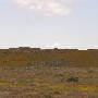 Antelope Valley California Poppy Reserve State Natural Reserve (SNR)