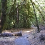 Bothe-Napa Valley State Park (SP)