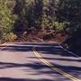 Jones Valley Rd. Shasta