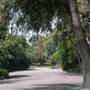Chapman Woods Neighborhood Streets