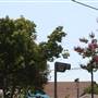 West Adams Neighborhood Historic District