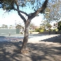 Roxbury Park & Community Center