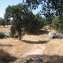Dawson Ranch