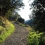 No Hands Bridge - Located in Auburn State Recreation Area (SRA)