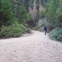 Shuteye Peak - Sierra National Forest