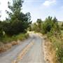 Golden Oak Ranch - Natural Area