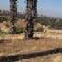 California Citrus State Historic Park (SHP)