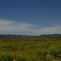 Mystery Mesa