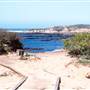 Año  Nuevo State Park (SP)