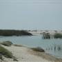 McGrath State Beach (SB)