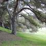 Tapia Park @ Malibu Creek State Park (SP)