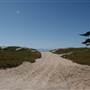 Carpinteria State Beach (SB)