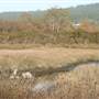Arcata Marsh and Wildlife Sanctuary