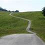 Mattole Road (3)