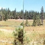 Camp Lassen