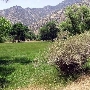 Canebrake Ecological Reserve - California Department of Fish and Wildlife (CDFW)