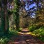 San Bruno Mountain State Park (SP)