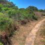 San Bruno Mountain State Park (SP)