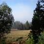 Palomar Mountain State Park (SP)