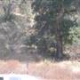 Bogart Regional Park