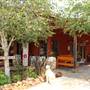 Anselmo Vineyard