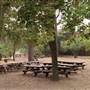 Shasta State Historic Park (SHP)