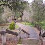 Bale Grist Mill State Historic Park (SHP)