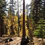Burton Creek State Park (SP)