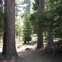 Donner Memorial State Park (SP)  / Donner Lake