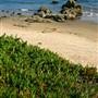 Carpinteria State Beach (SB)