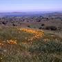 Pacheco State Park (SP) and Windmill Farm / Wind Energy