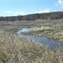 Anderson Marsh State Historic Park (SHP)