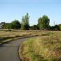 Brannan Island State Recreation Area (SRA)