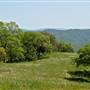 Henry W. Coe State Park (SP)